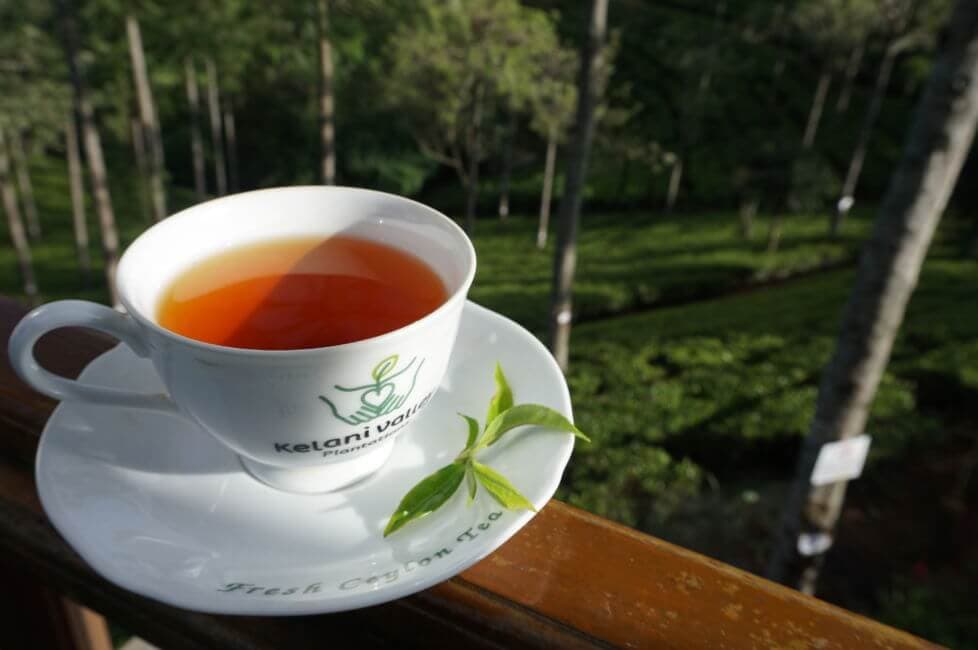 Una foto de una taza fresca de té de Ceilán del estado de Kandy, Sri Lanka