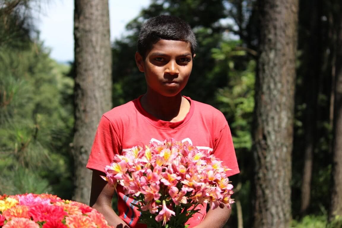 Ребенок с букетом красивых цветов в Нувара Элия Шри-Ланка