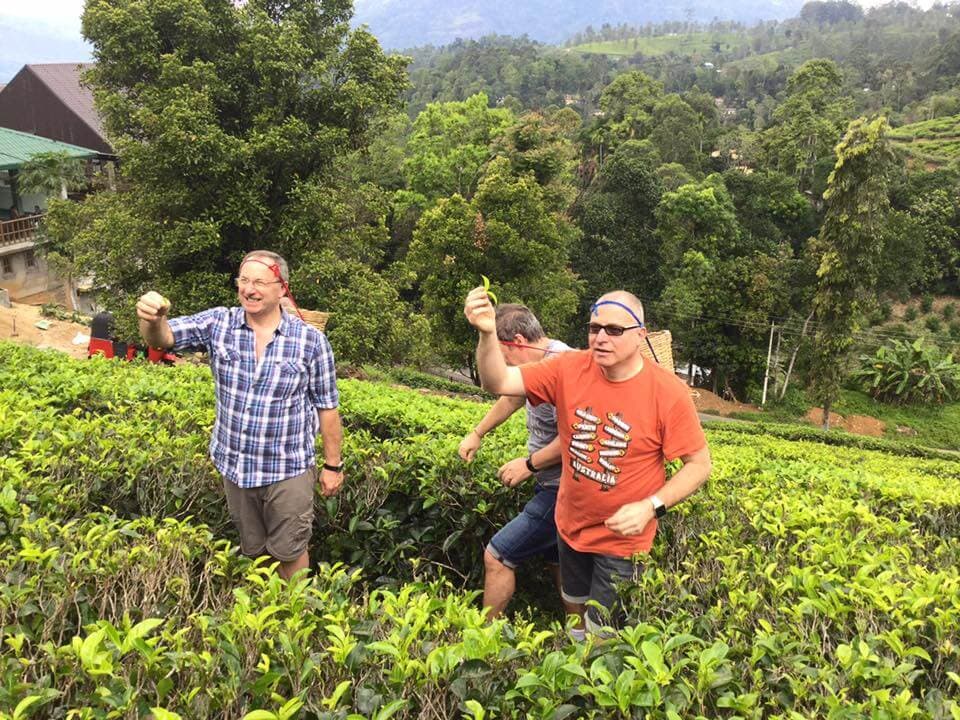 Experimentar el estilo de vida de los trabajadores del té con la recolección de té en Kandy Sri Lanka