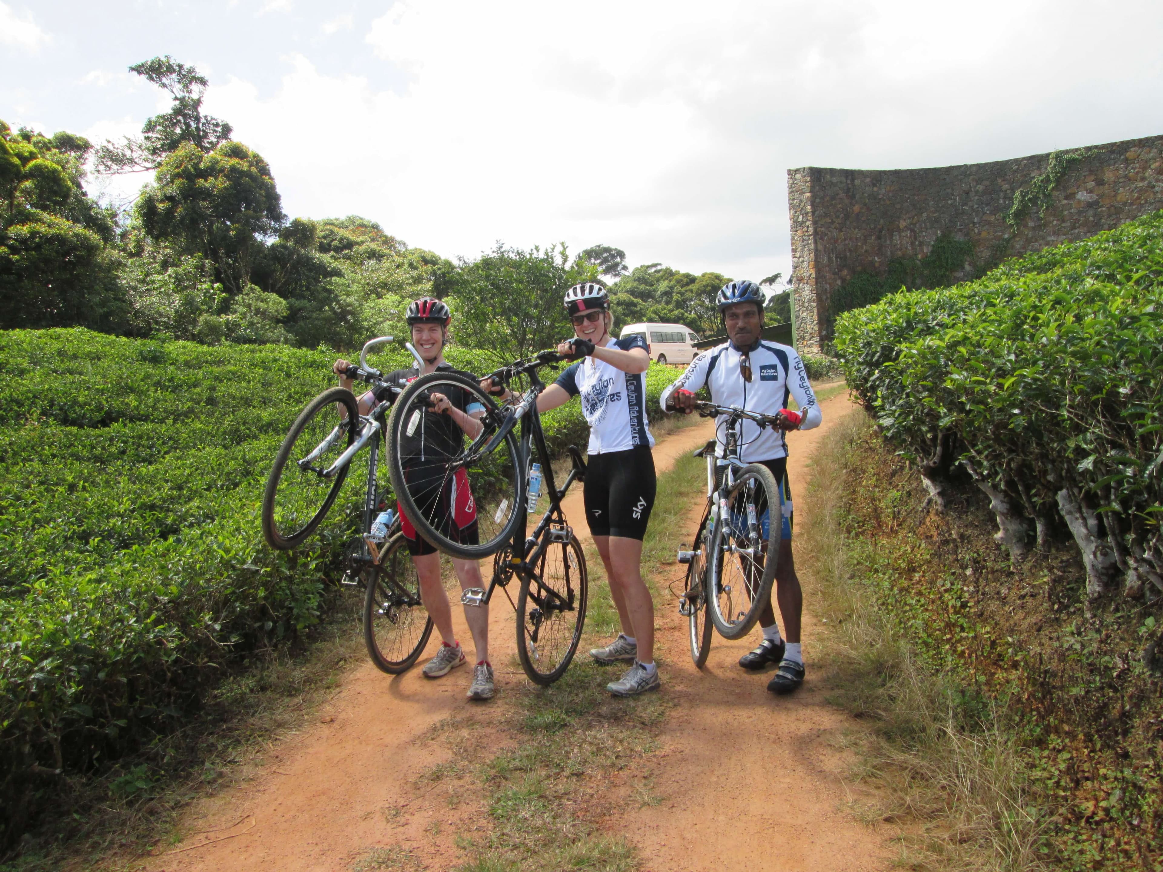 Los ciclistas en bicicleta a través del estado del té en Kandy Sri Lanka