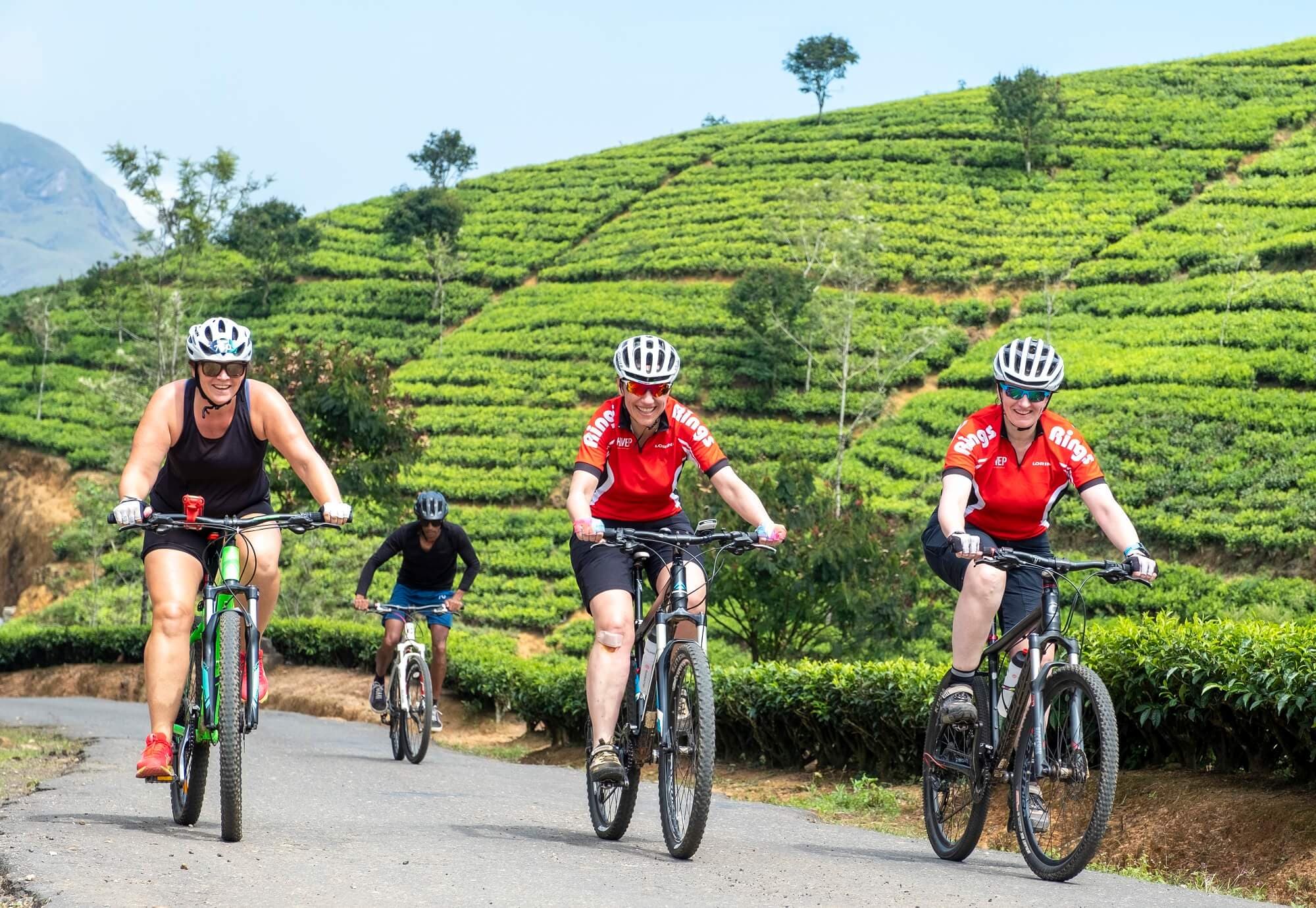 Велосипедисты едут на велосипеде по чайной плантации и исследуют живописные ландшафты Нувара-Элии.