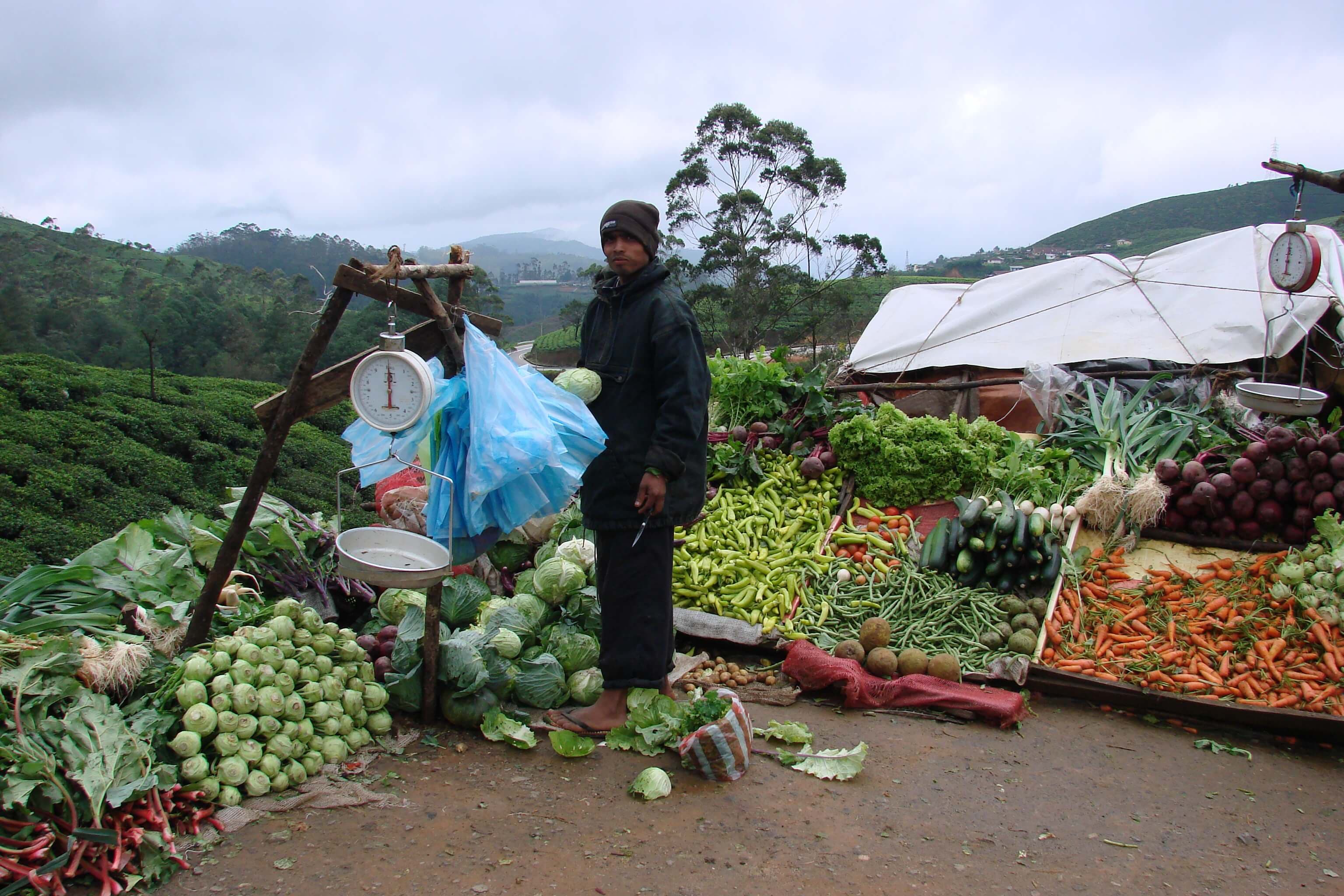 Фото торговца овощами в Нувара-Элии на Шри-Ланке