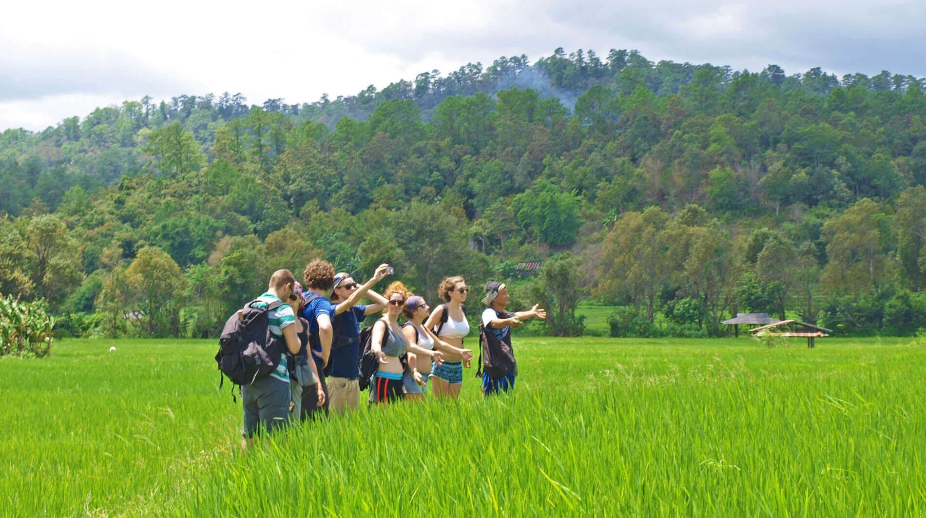 Una foto de turistas disfrutando del hermoso campo de arroz en Hikkaduwa Sri Lanka