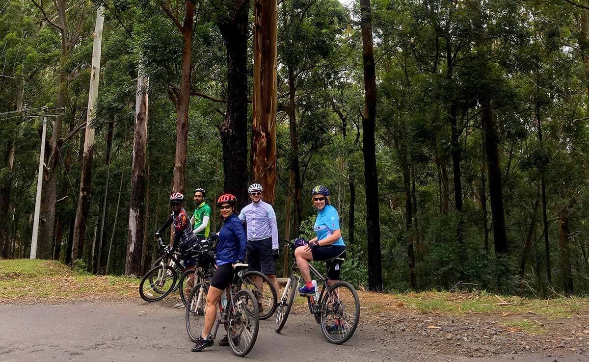 Die Gruppe glücklicher Radfahrer macht eine Pause in einer wunderschönen wilden Gegend in Kithulgala Sri Lanka
