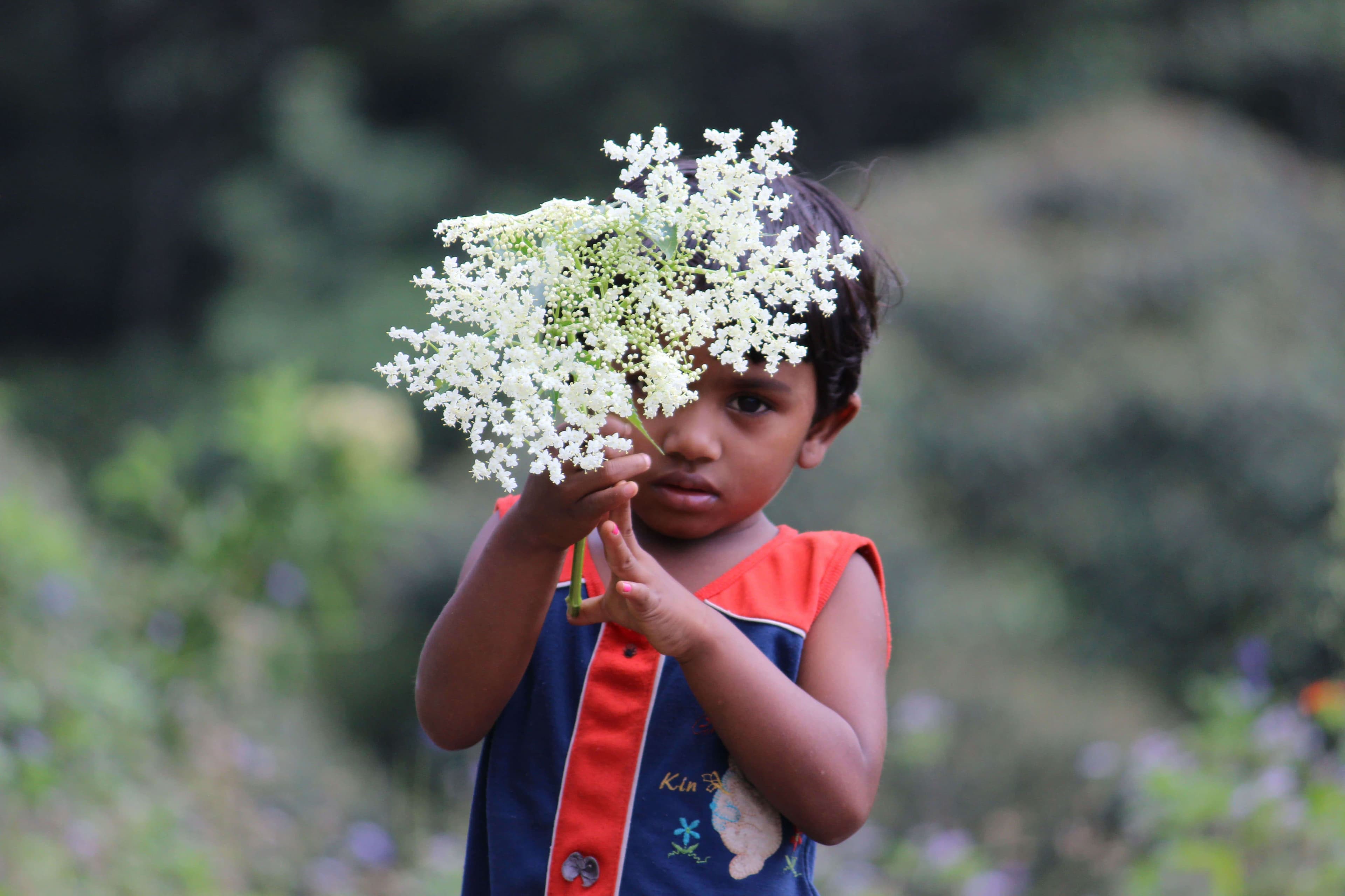Милая маленькая девочка с букетом цветов встречается в велотуре в Меемуре, Шри-Ланка.