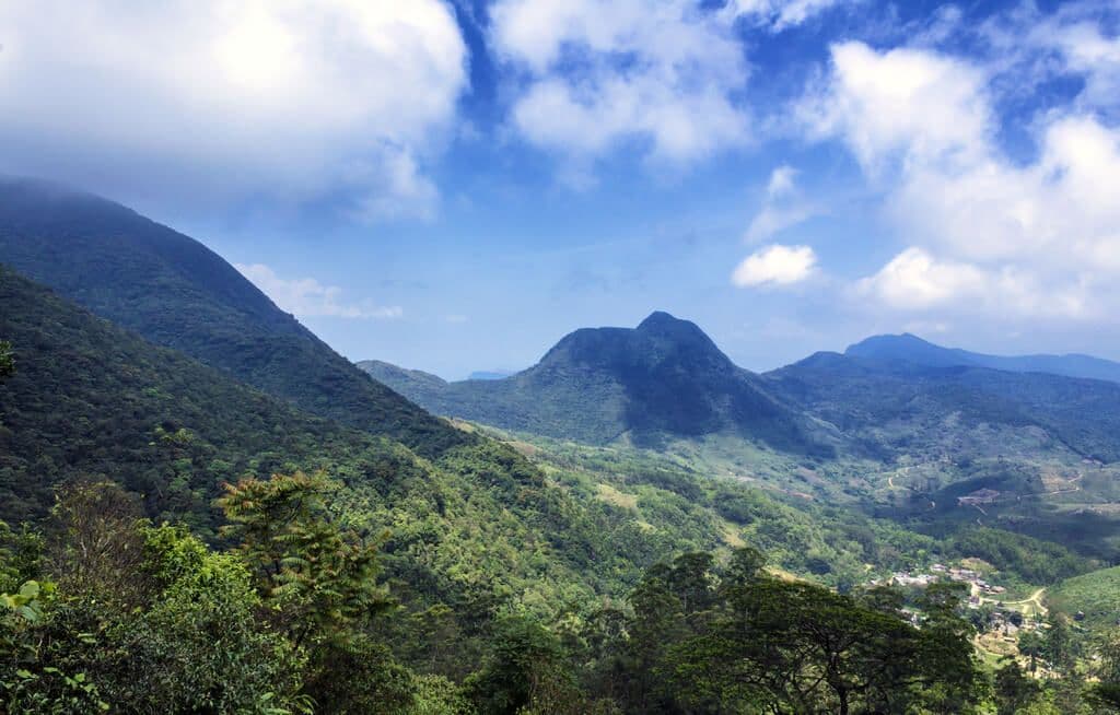 Una hermosa vista de las montañas y el bosque de Knuckle Sri Lanka