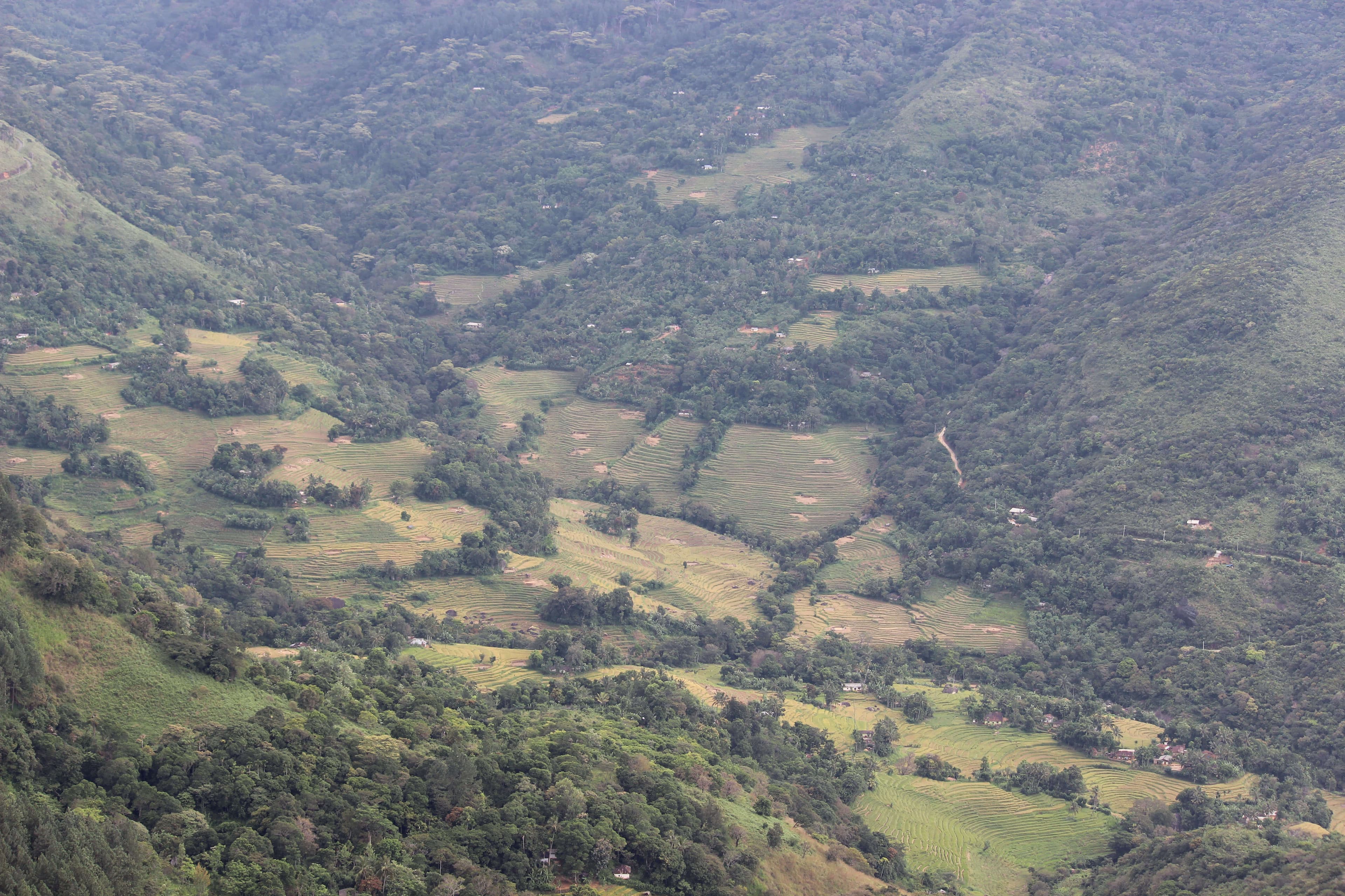 Vista del punto de vista este del bosque de Knuckles de Mini-World's End Sri Lanka