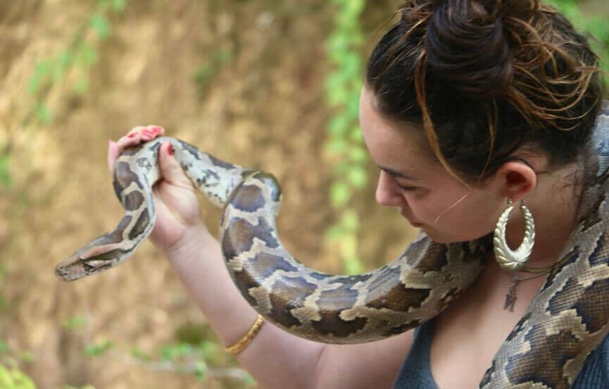 Eine Frau erkundet eine Schlange im Bereich der Schlangenhäuser in Mirissa, Sri Lanka