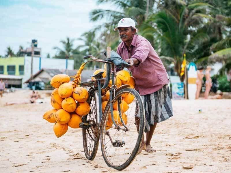 Фотография местного торговца, продающего королевский кокос в Мириссе, Шри-Ланка.