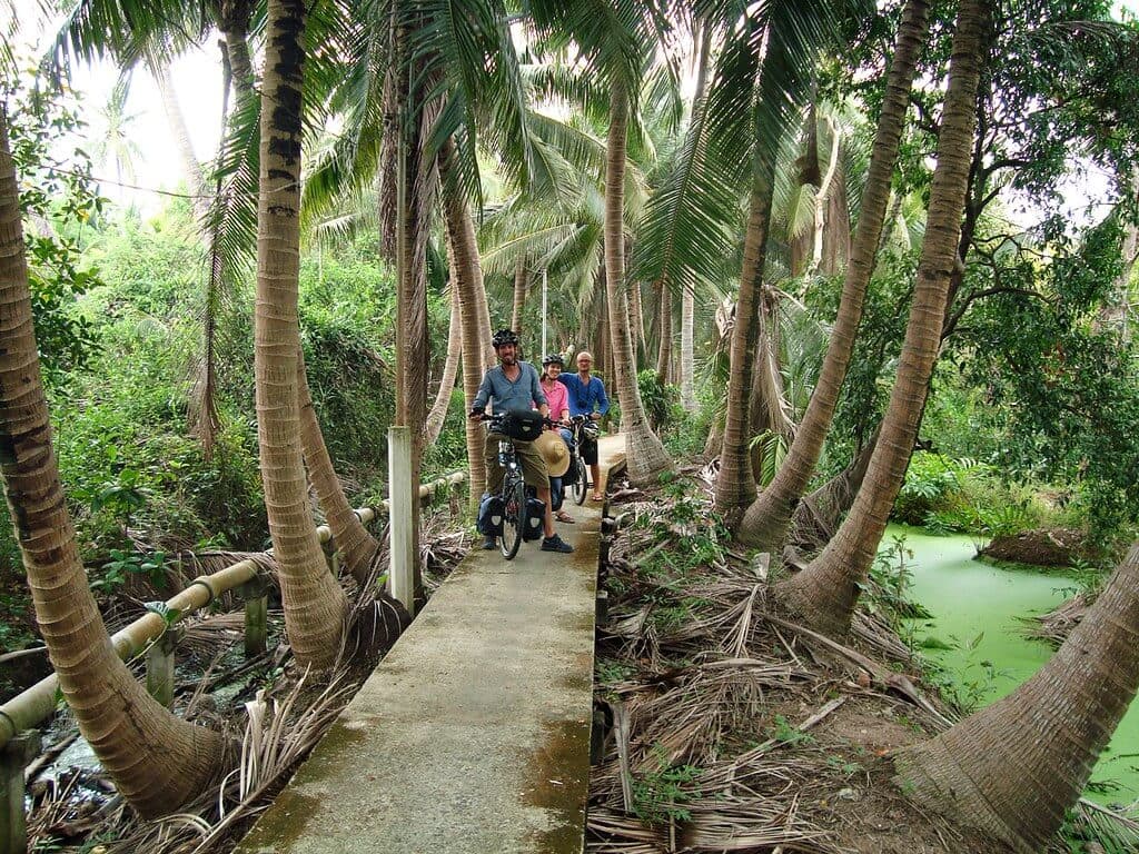 Туристы путешествуют среди кокосовых пальм в Тангалле, Шри-Ланка.
