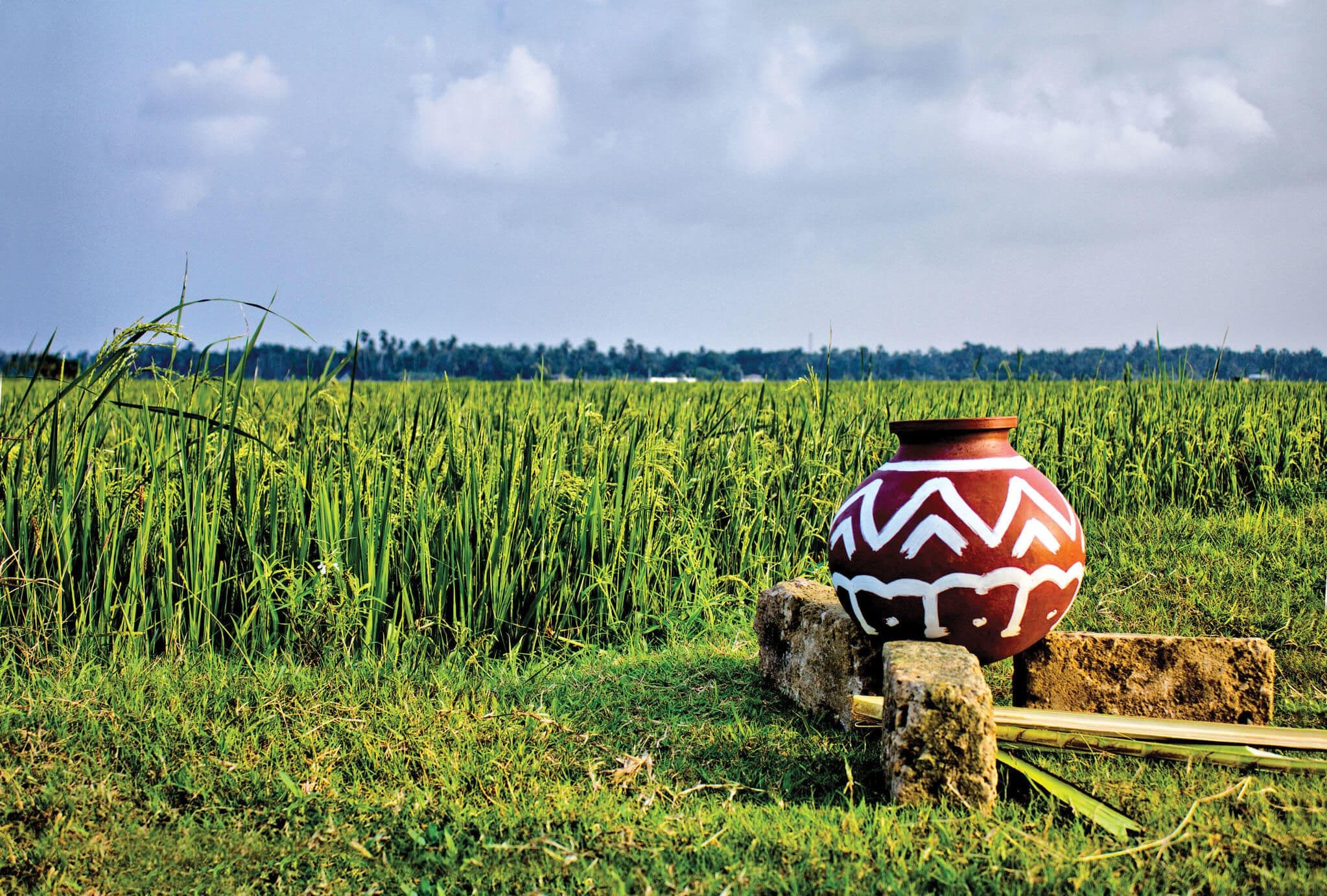 Надпись на глиняном горшке для приготовления чая в засушливой зоне Шри-Ланки.