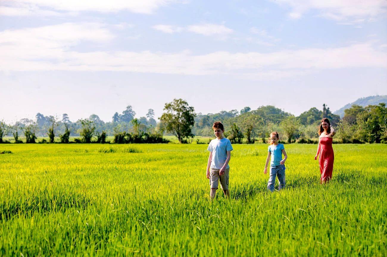Una vista de tres turistas cruzan un hermoso campo de arroz y disfrutan de una experiencia en el campo de Sri Lanka