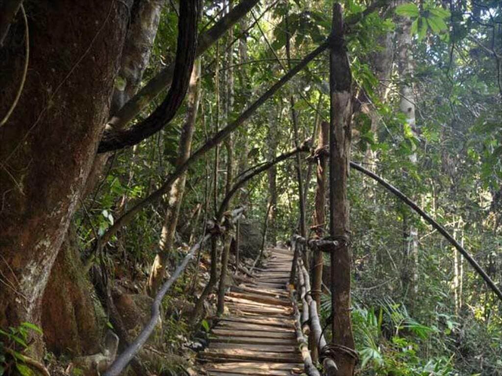 Una foto del puente natural en Kanneliya South Forest Lodge, Sri Lanka