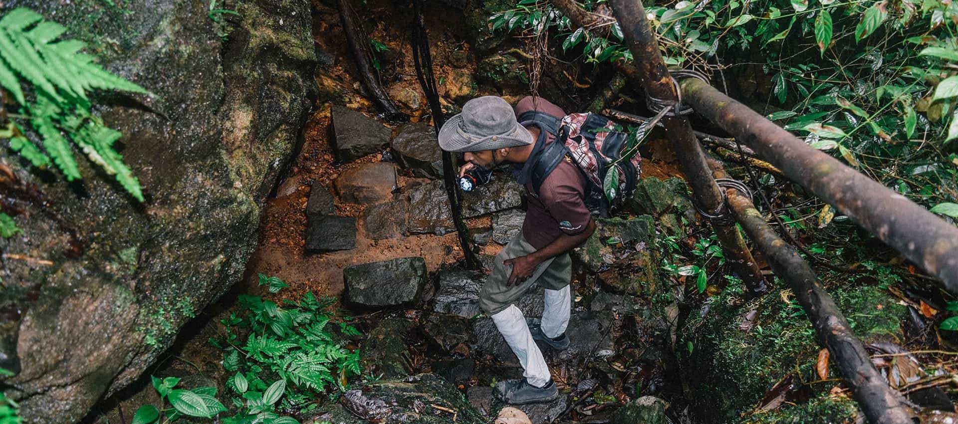 Un turista explora el área forestal en Galle Trekking tour en Sri lanka