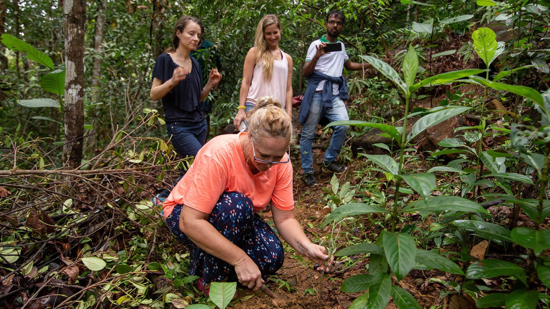 Un grupo de turistas explora la flora en el bosque Kanneliya Sri Lanka