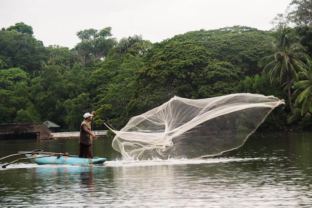 Ein Mann, der mit einem Netz im Parakrama-Panzer Polonnaruwa Sri Lanka fischt
