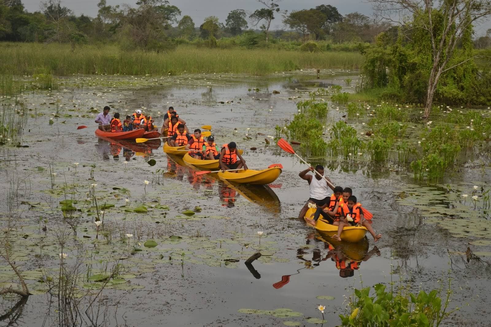 Los botes de canoa remando montados en "tanques de agua Egoda Wewa" en Sigiriya Sri Lanka