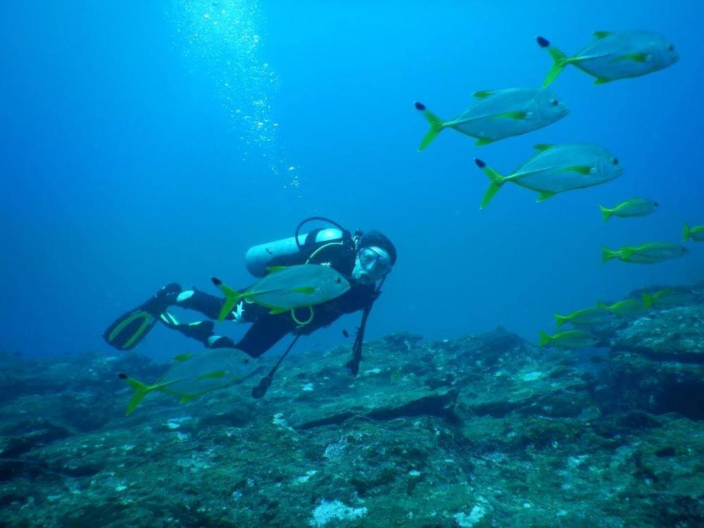 Дайвер исследует подводное море и группу рыб в Калпитии.