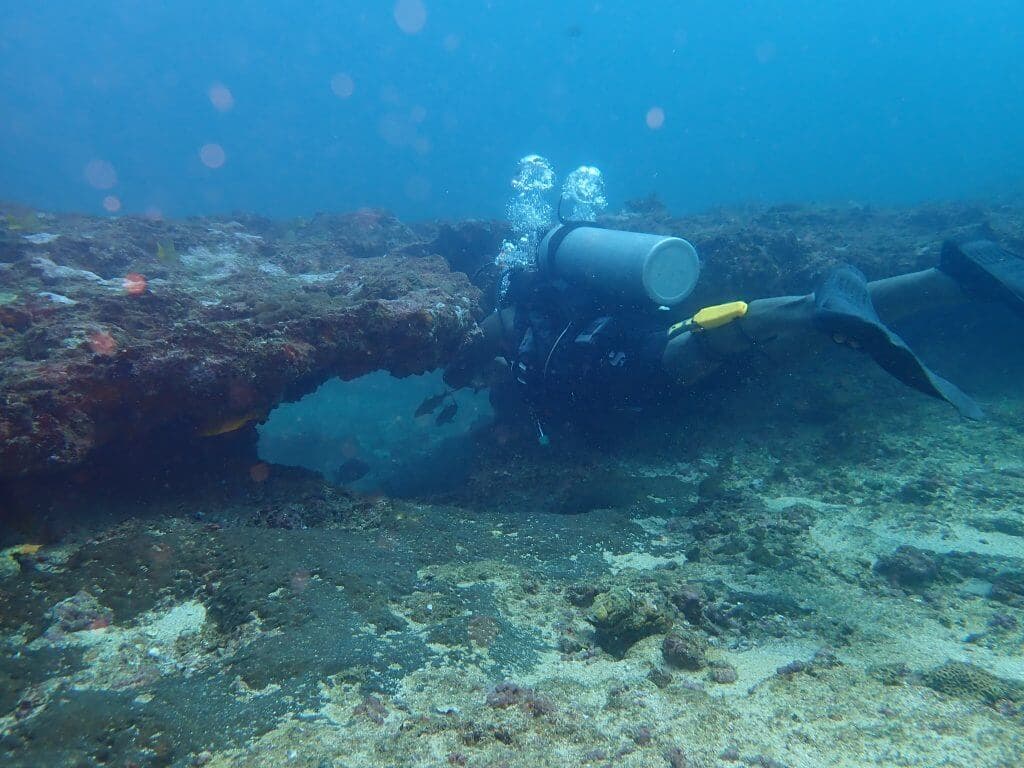 一名潜水员潜入斯里兰卡礁石古珍珠采集成本