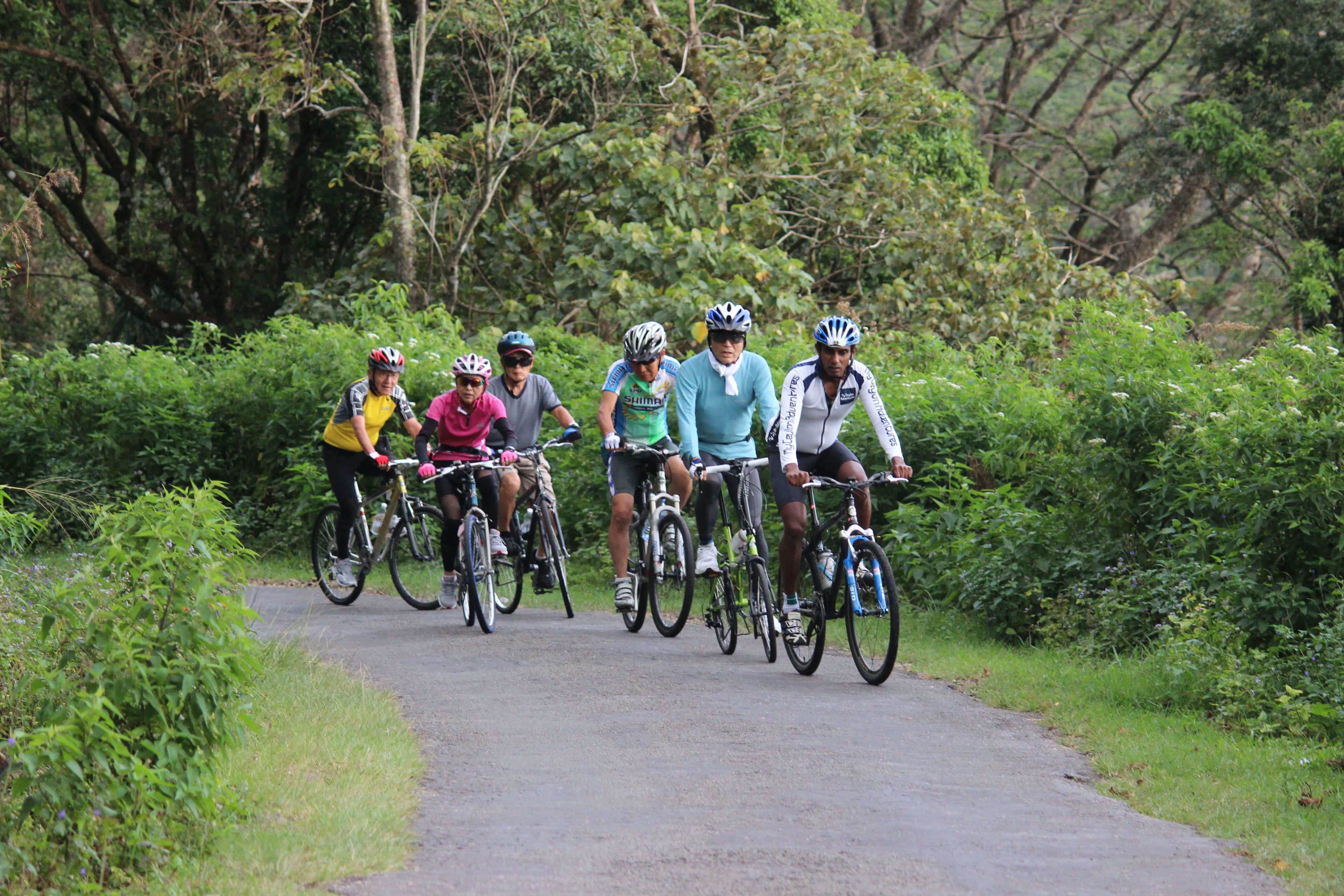 一群骑自行车的人骑着康提到斯里兰卡的锡吉里亚