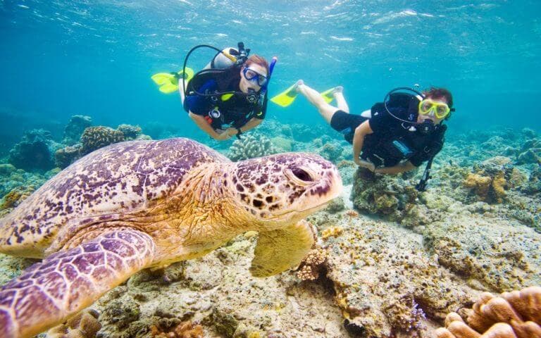 Два дайвера ныряют с морской черепахой и исследуют подводный мир в Мириссе, Шри-Ланка.