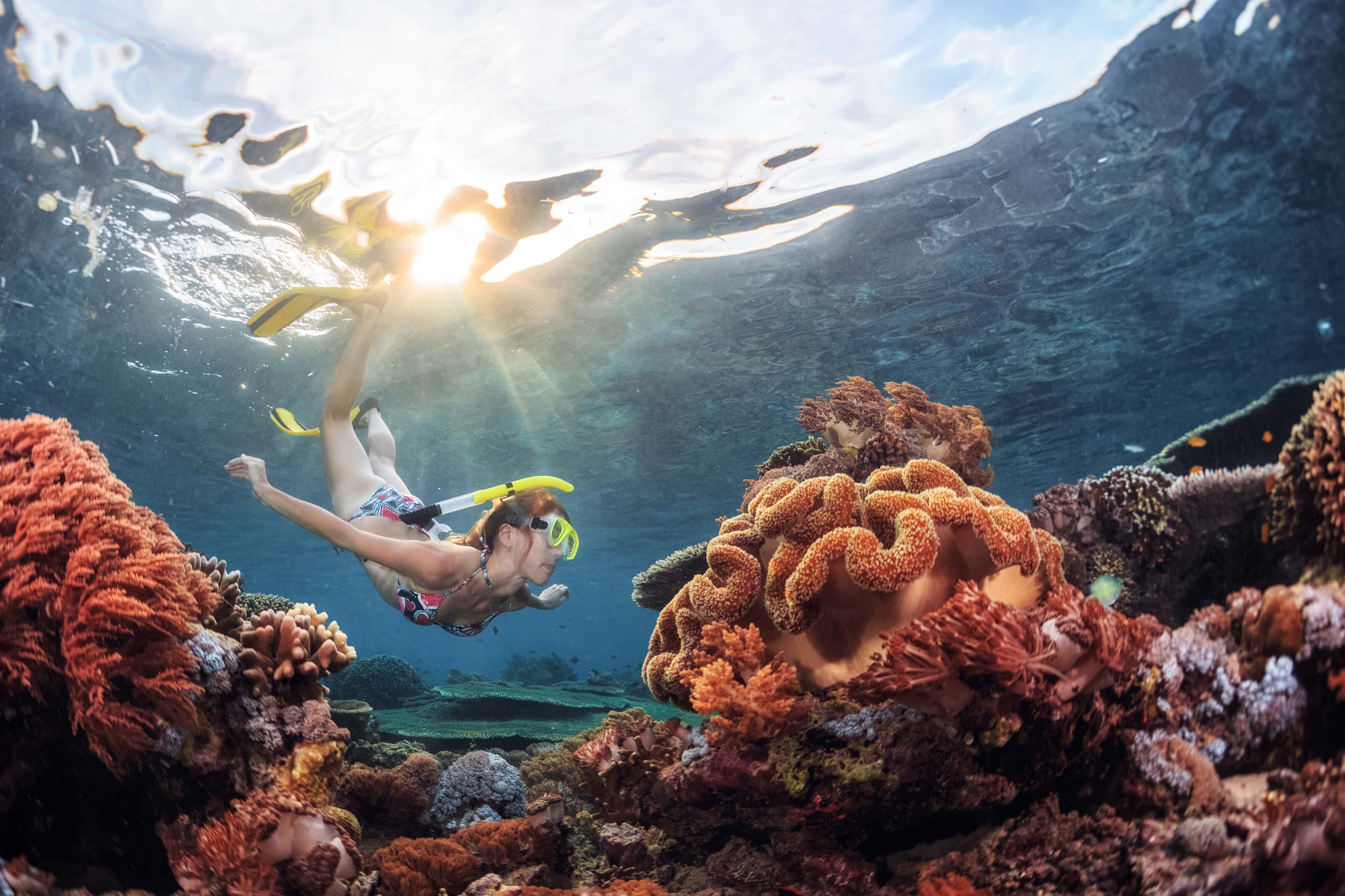 斯里兰卡米瑞莎美丽珊瑚礁海中浮潜的女孩