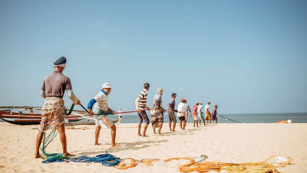 Un grupo de pescadores hacen pesca con red en Negombo, Sri Lanka