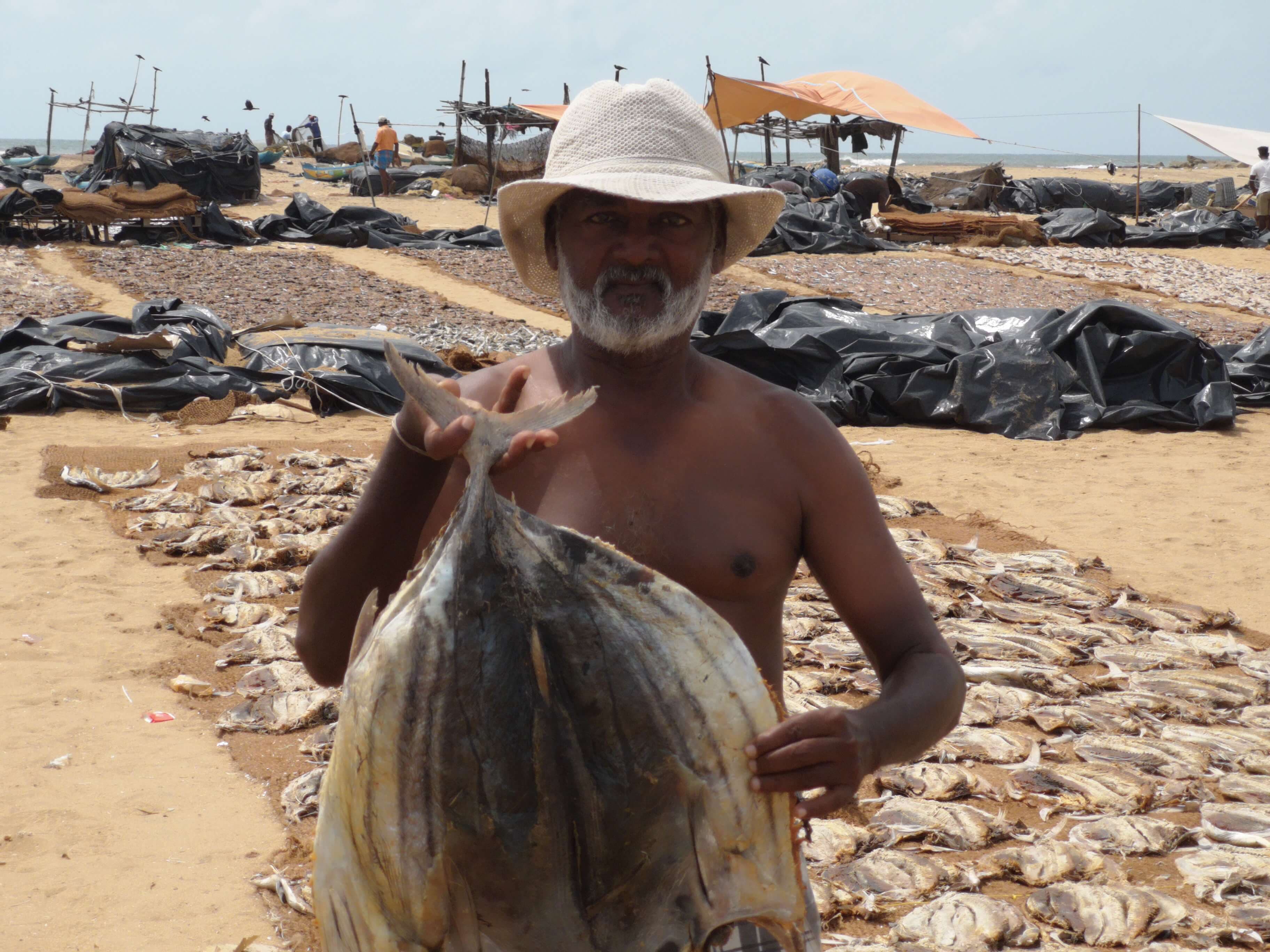 Una foto del área de elaboración de pescado salado en la playa de Negombo, Sri Lanka