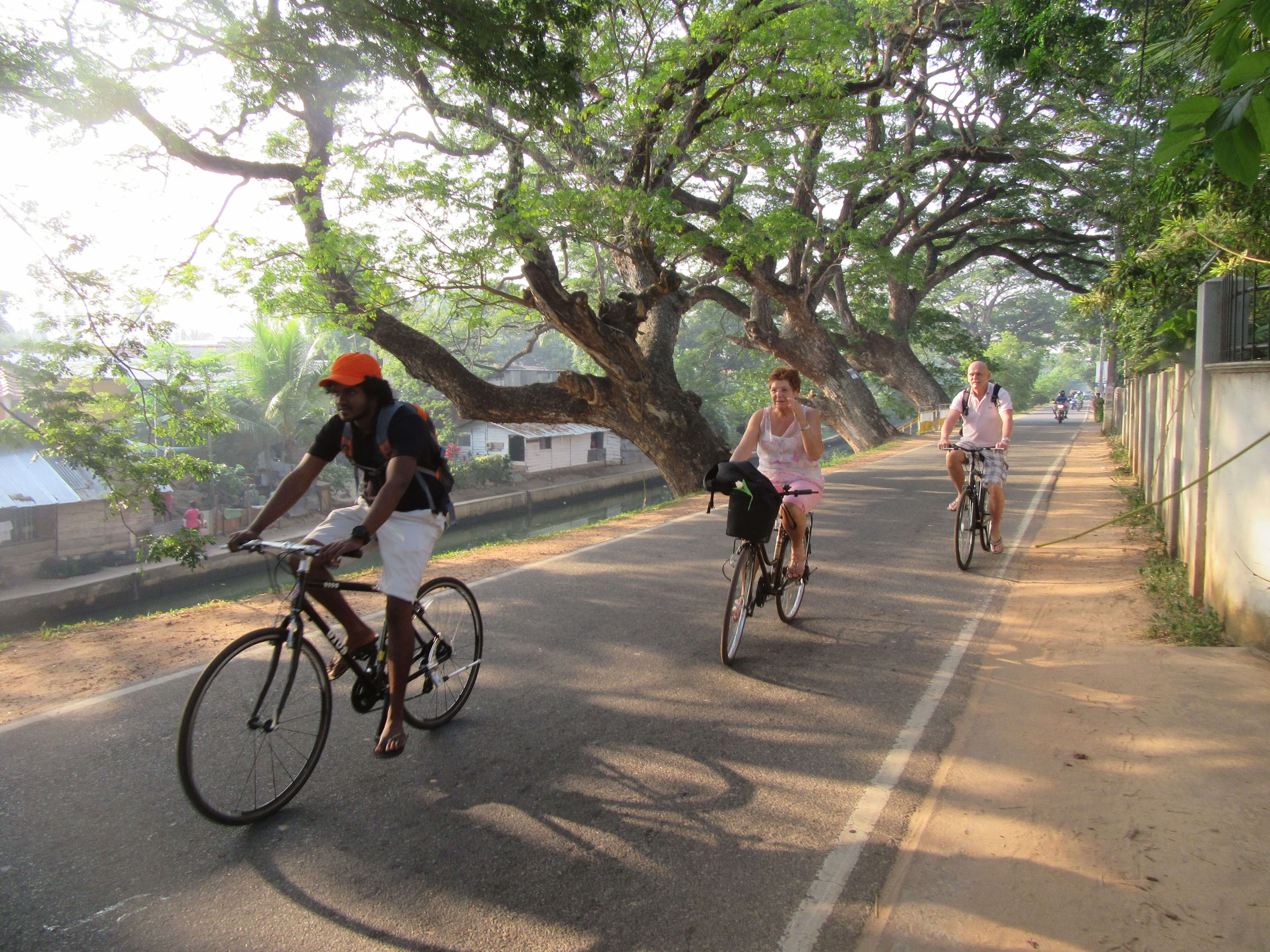السائحون يركبون الدراجات تحت مأوى الأشجار في نيجومبو ، سريلانكا
