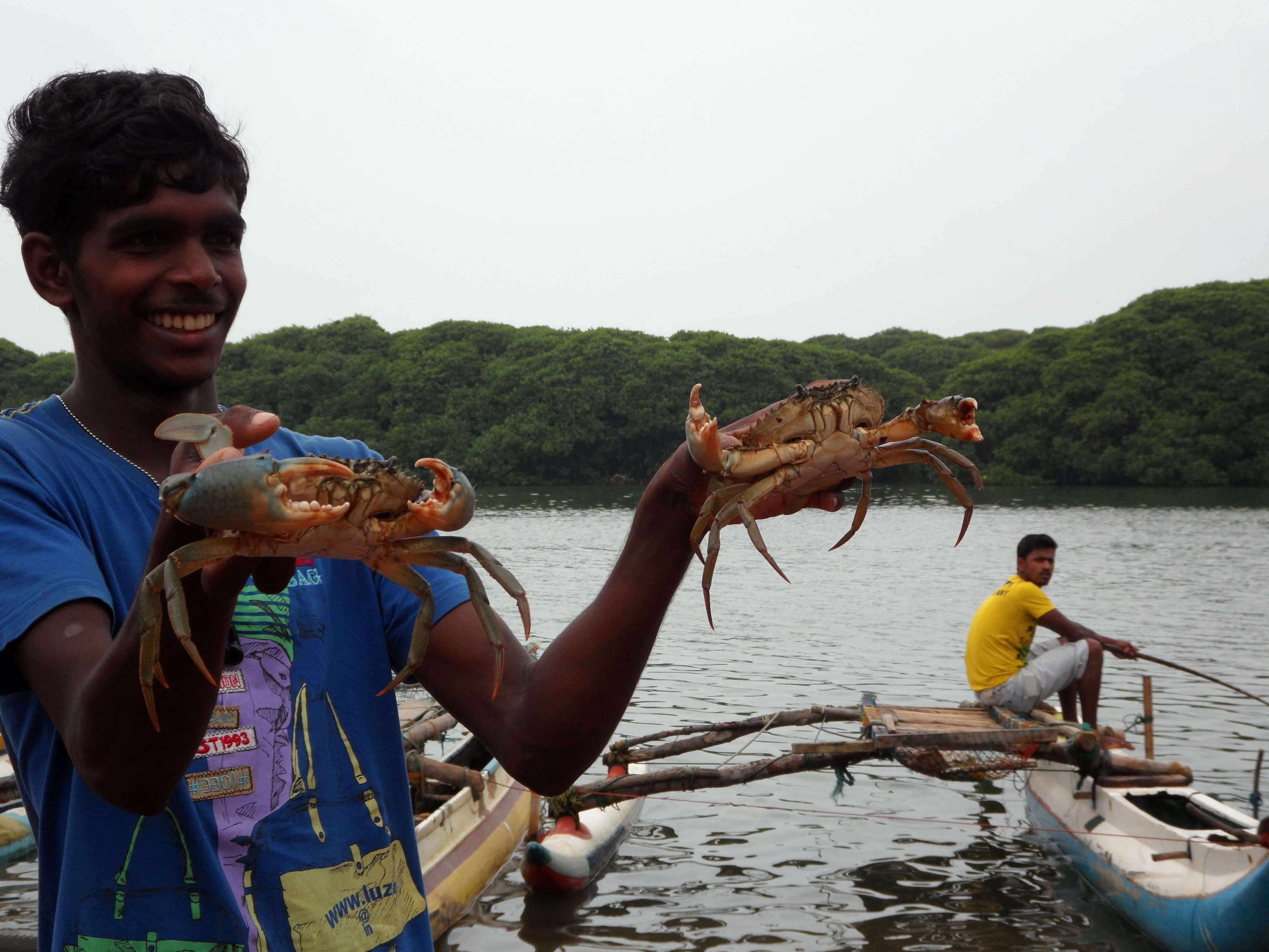 Eine Szene des Fangens von Krabben im Negombo-Fluss, die Vielfalt verbreitet haben