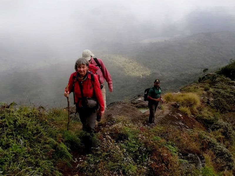 Die Touristen wandern auf dem Berg Thotupolakanda in Sri Lanka