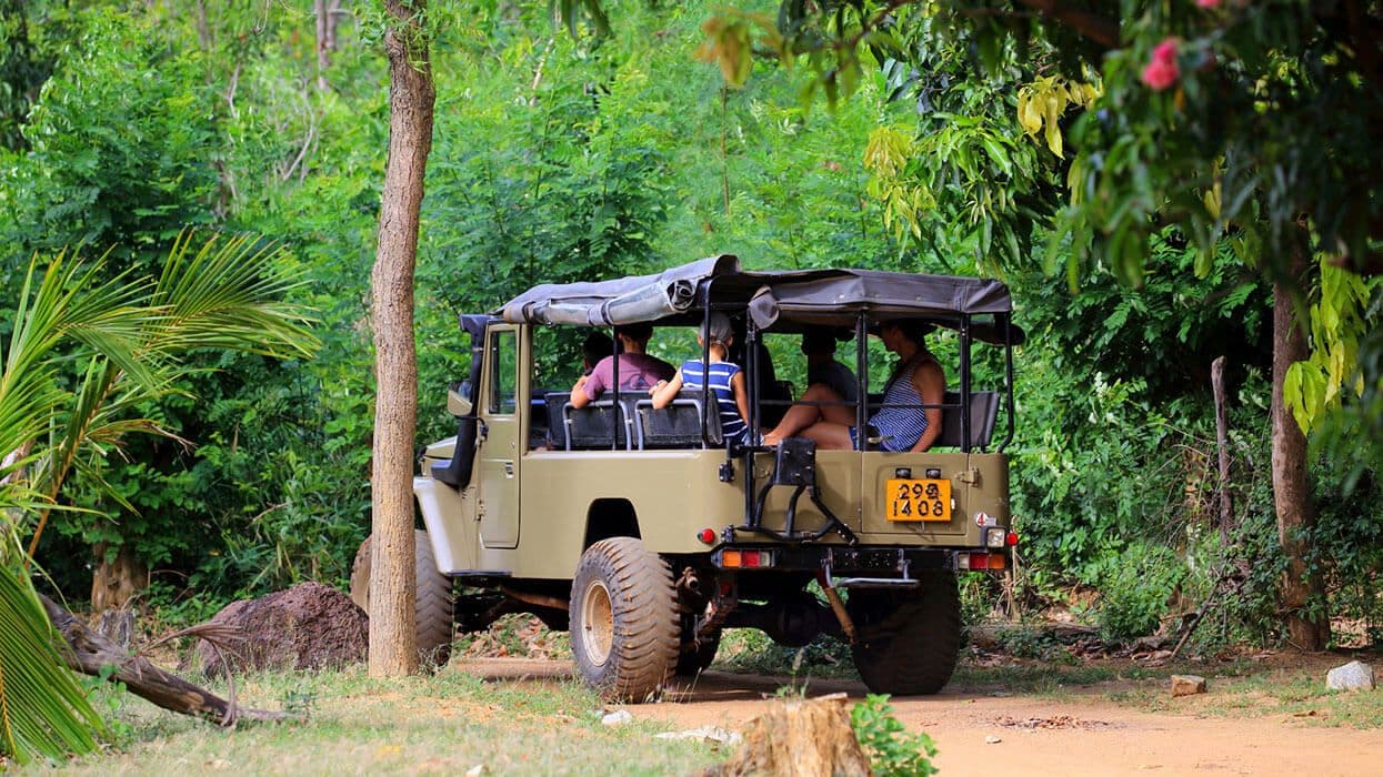Ein Blick auf den Touristenbesuch im Eco–Park in Sigiriya, Sri Lanka