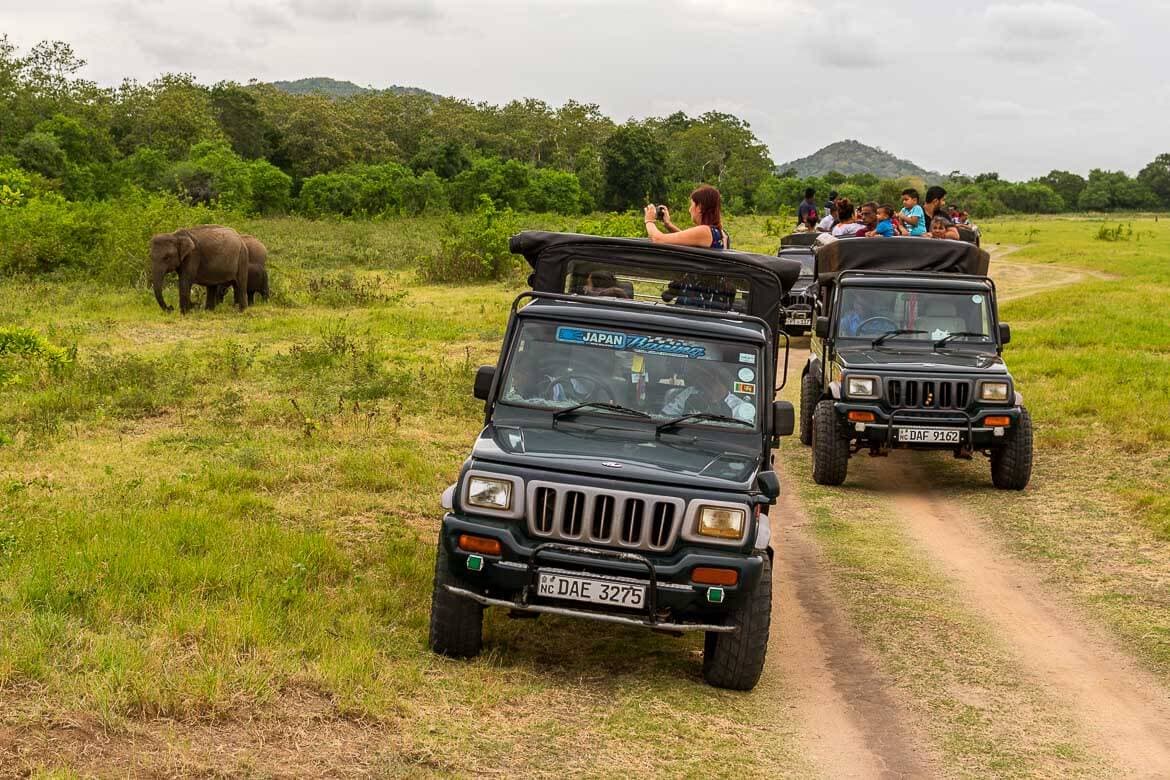 Los turistas viendo animales Parque Nacional Kaudulla en Sigiriya Sri Lanka