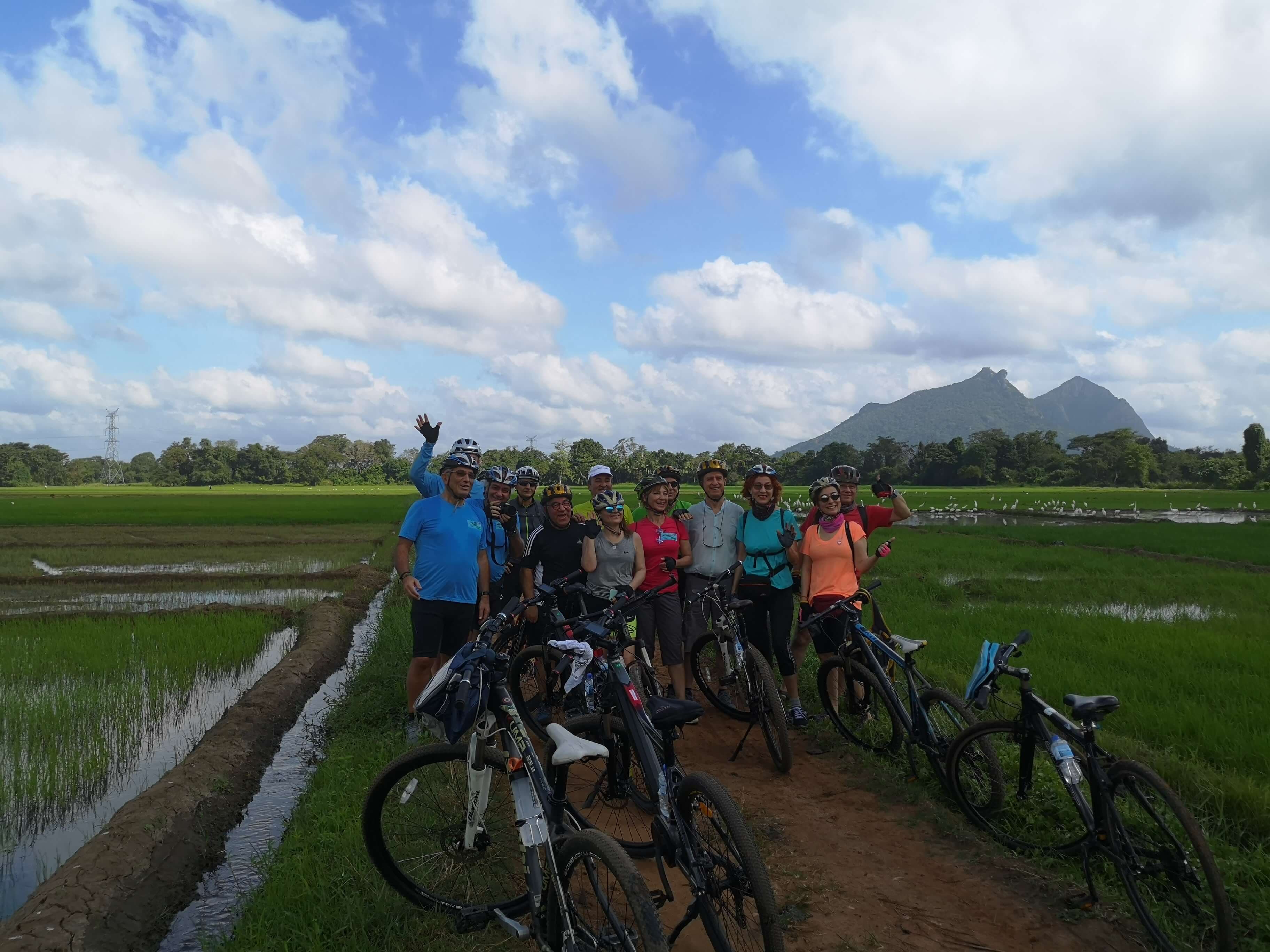 Die Radfahrer, die durch das schöne Reisfeld in Polonnaruwa Sri Lanka radeln