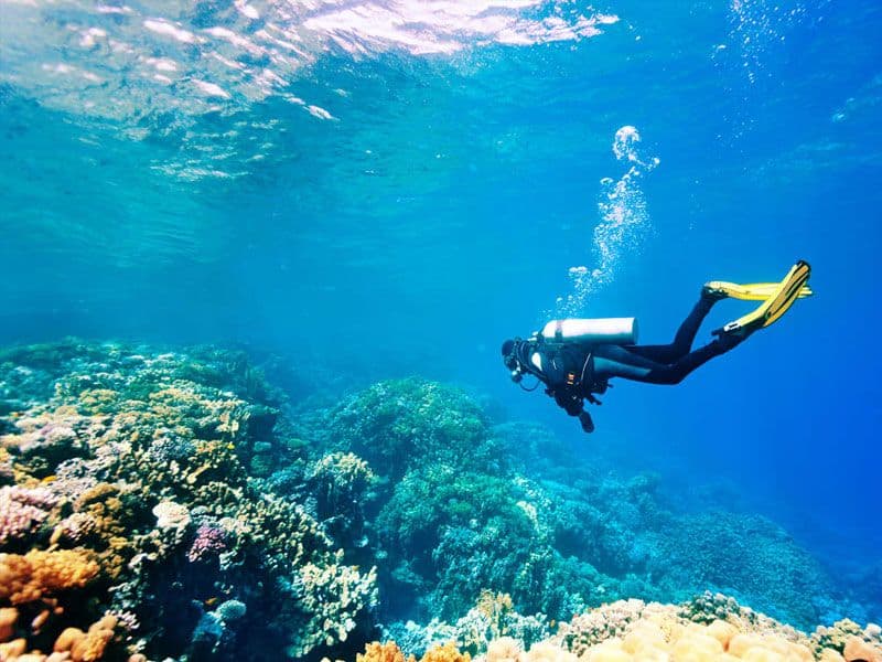 بقعة غواص عملاقة حول الشعاب المرجانية في بحر بينتوتا الأزرق الجميل
