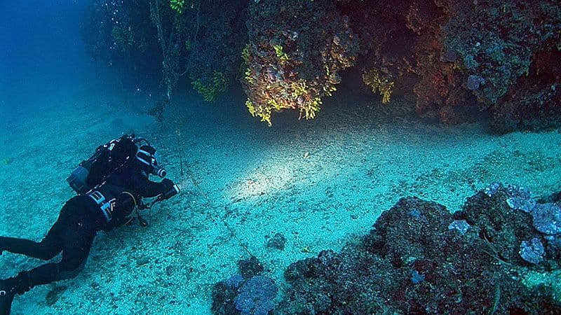 Фотография дайвера у огромного кораллового рифа, наблюдающего за его разнообразием.