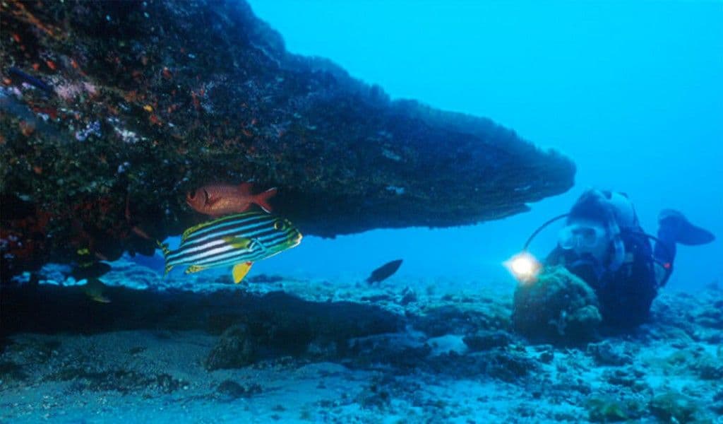 一名潜水员在斯里兰卡本托塔海探索珊瑚礁的生物多样性