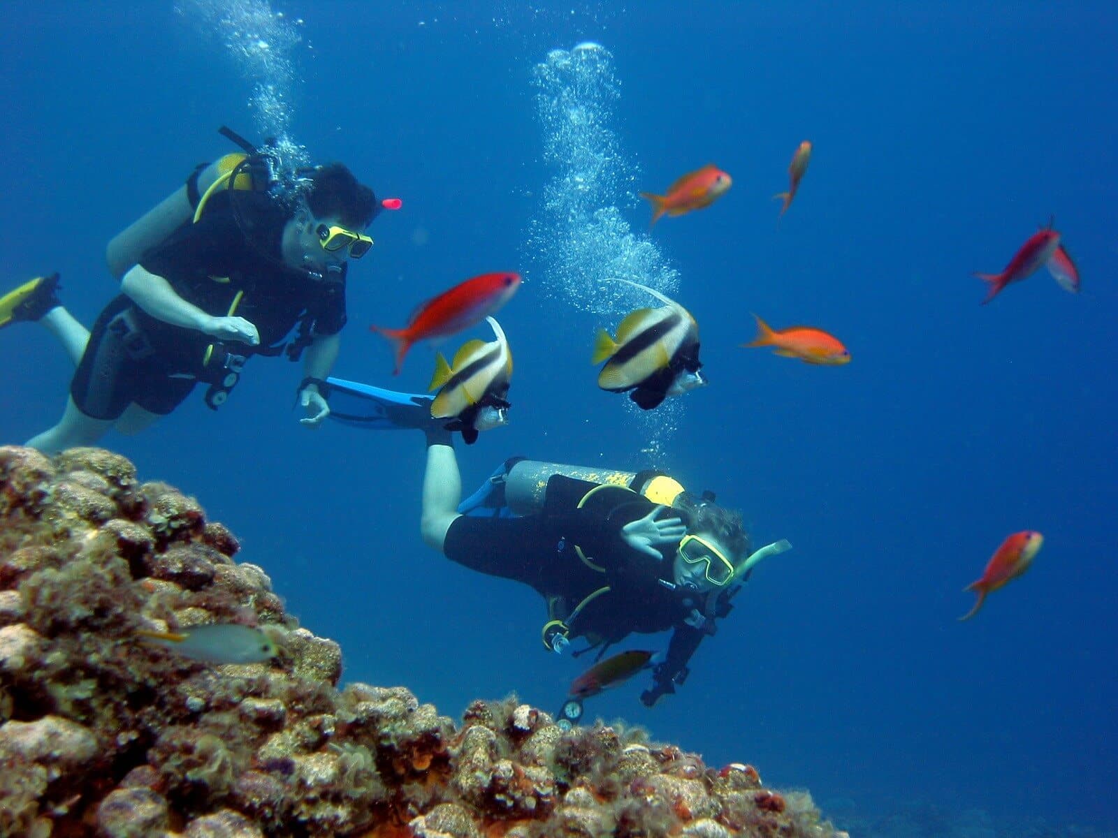 Два дайвера исследуют морские глубины в Тринкомали, Шри-Ланка.
