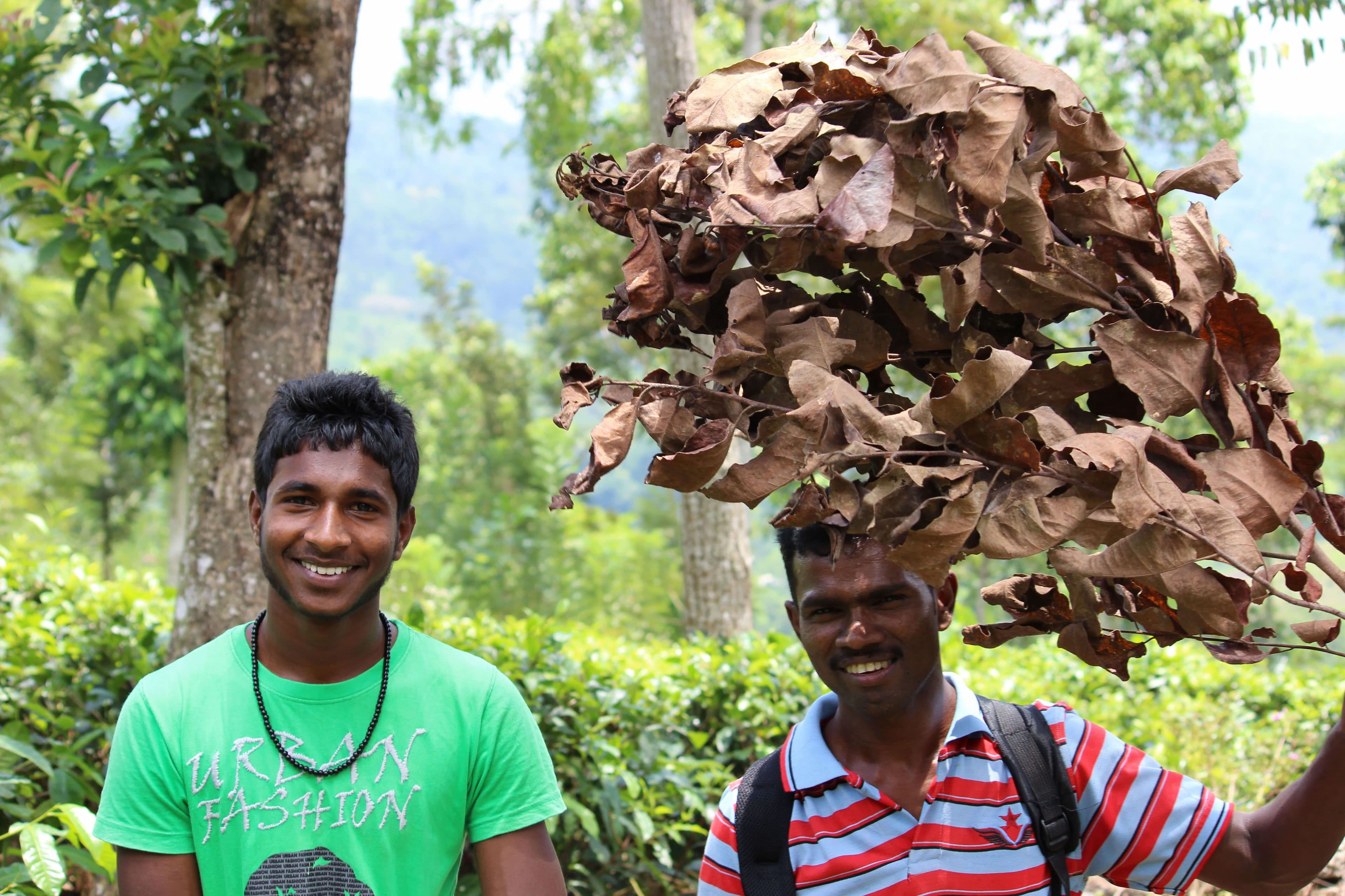 在斯里兰卡的康提阿拉加拉山徒步旅行和远足之旅中认识快乐的当地人