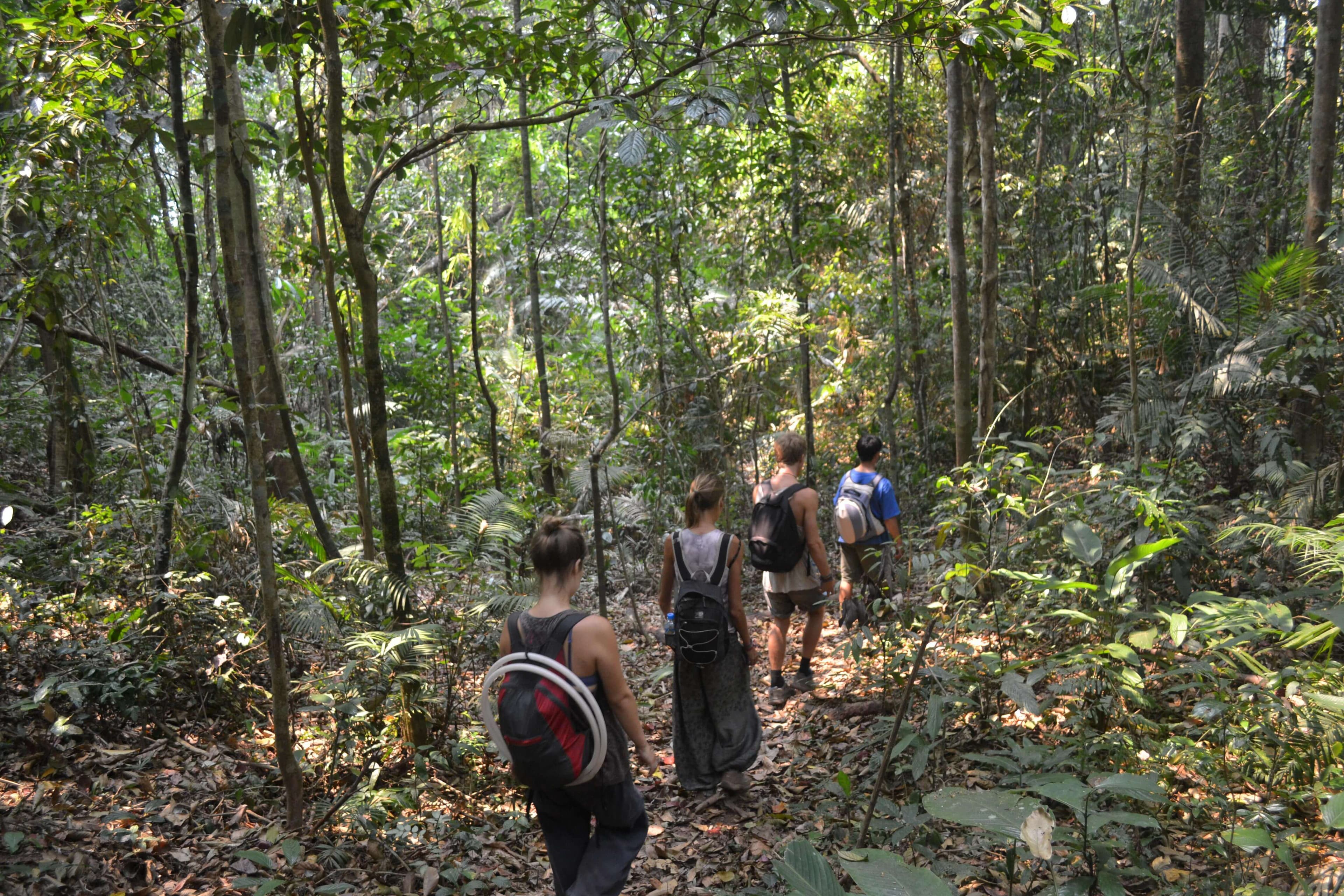 Touristen wandern durch den Alagalla-Dschungel und erkunden die endemische Flora und Fauna Sri Lankas