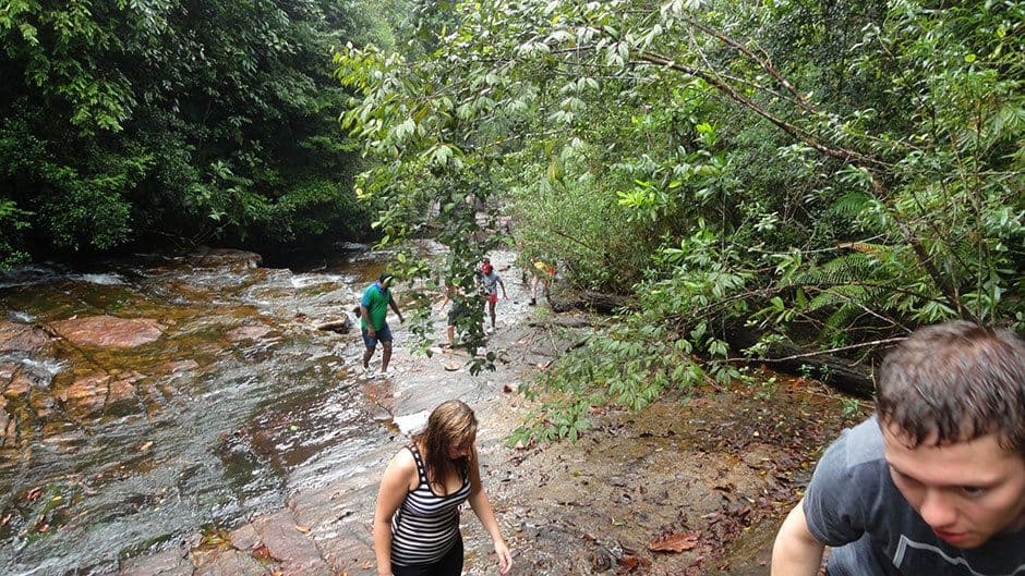 Los turistas que caminan a través de corrientes de agua en el bosque de Makanadawa Kithulgala Sri Lanka