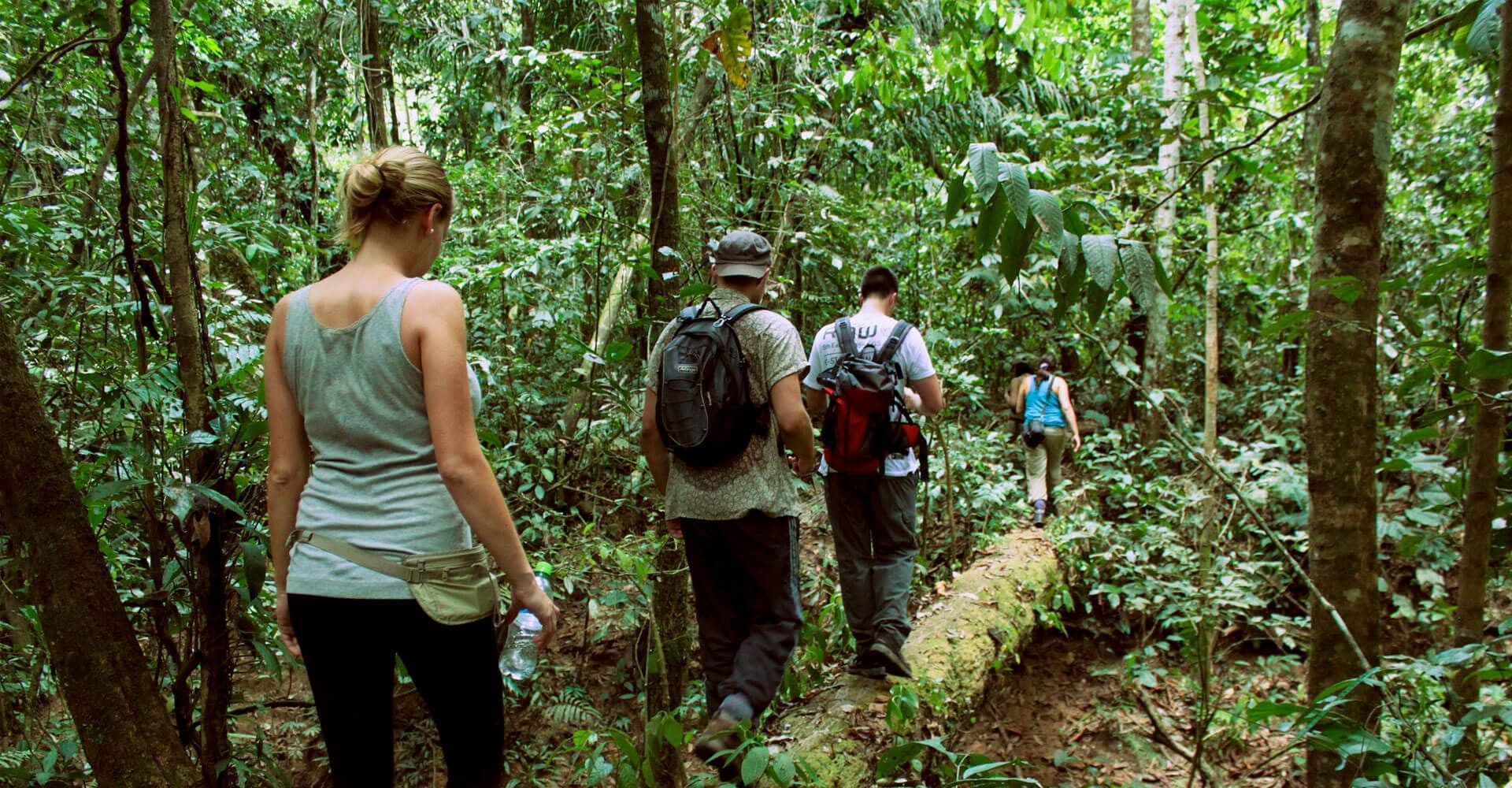 Los turistas adquieren experiencia en el senderismo con senderos para peatones en el bosque de Makanadawa en Sri Lanka