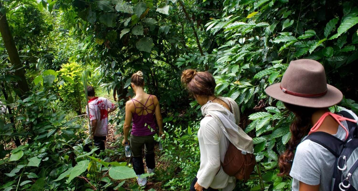 Туристическая группа путешествует по лесу в Удавалаве, Шри-Ланка.