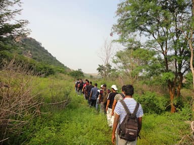一个旅游团在斯里兰卡乌达瓦拉瓦徒步旅行