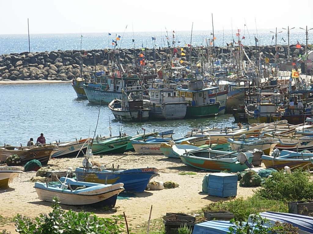 Вид на рыбную гавань Киринда в Яла, Шри-Ланка.
