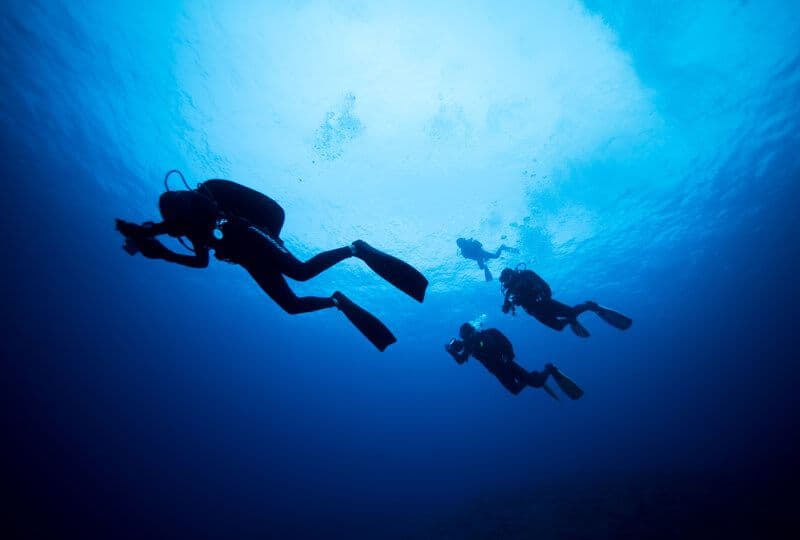Un grupo de buzos explorando maravillas submarinas con cámaras en mano, Sri Lanka.