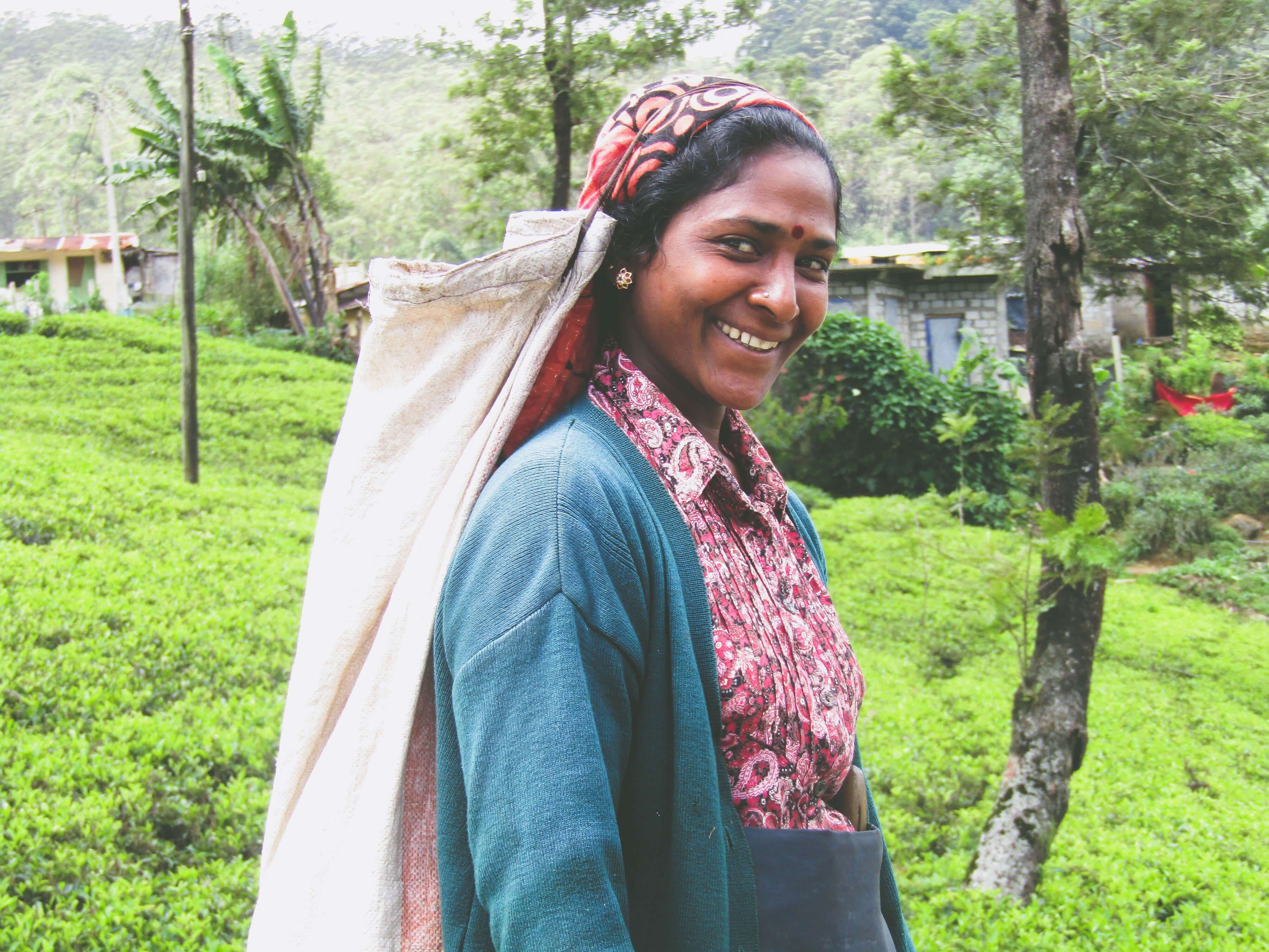 فتاة من التاميل تقطف الشاي تغادر كاندي ، سريلانكا.
