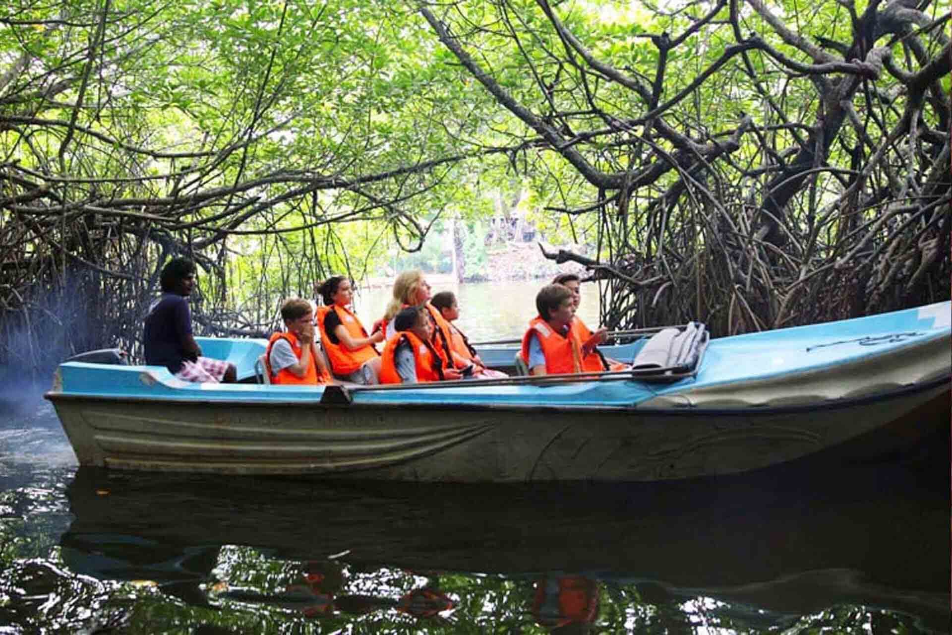 Туристы изучают природу флоры и фауны Бентоты на Шри-Ланке.