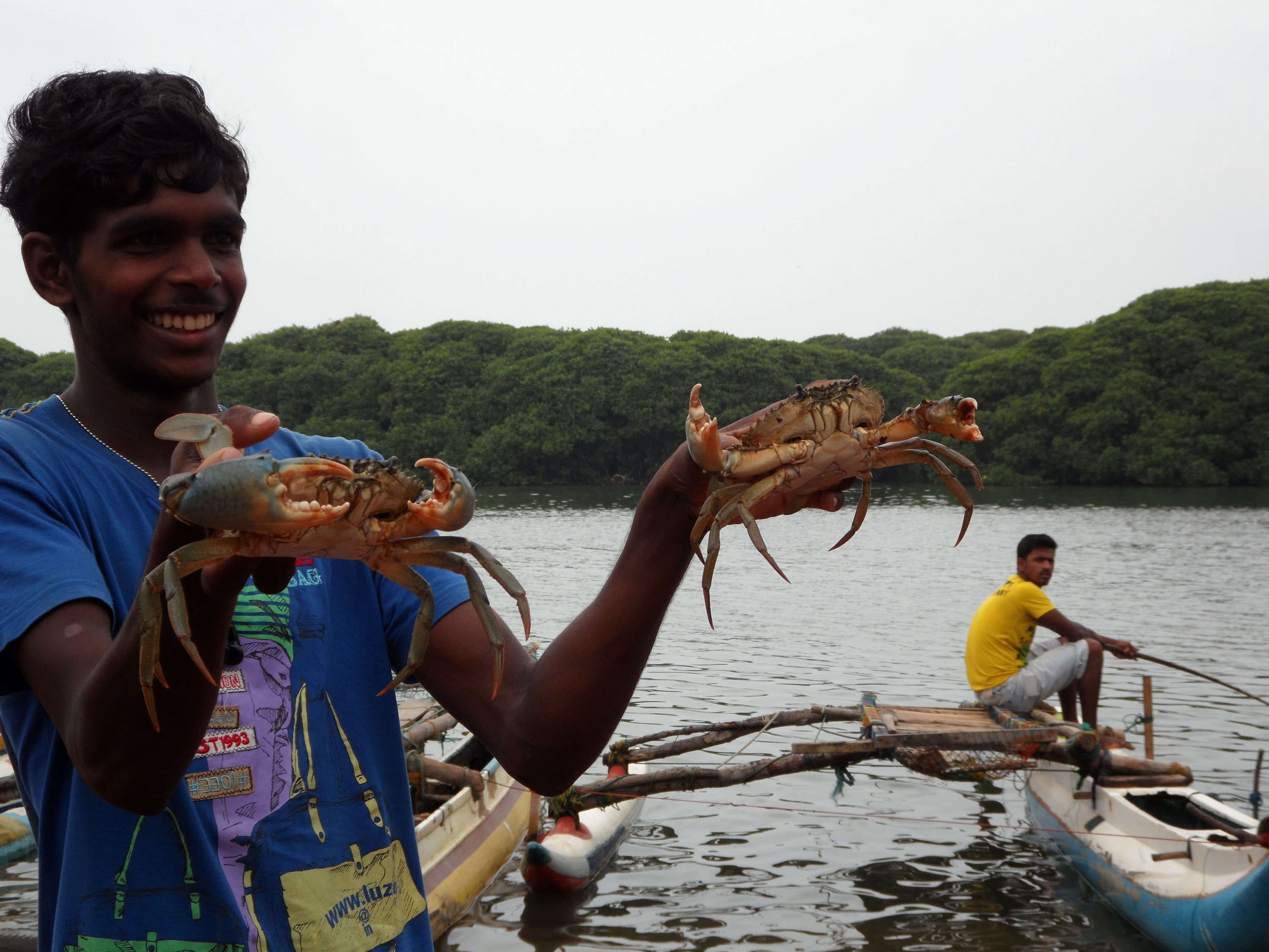 Eine Szene des Fangens von Krabben im Bentota-Fluss, die Vielfalt verbreitet haben