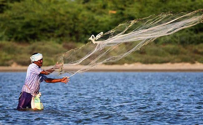 Eine schöne Szene eines Mannes, der mit einer Wade im Fluss Bentota Sri Lanka fischt